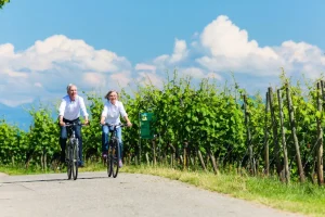 Cycling through vineyards in Goriška brda